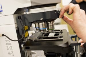 Lewis College 2020 Graduate Research Conference Debuts Online