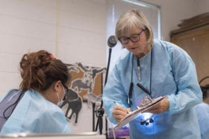Cushenan Wins Patton President's Award for Faculty