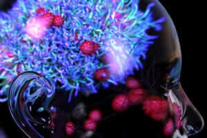 Study Finds COVID-19 Attack On Brain, Not Lungs, Triggers Severe Disease In Mice