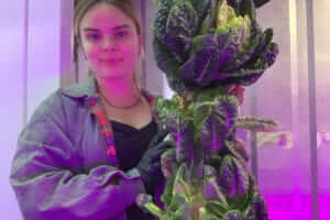 Honors Nutrition Students Study Link Between Diet and Health