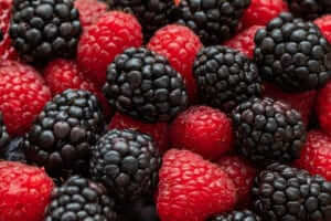 Nutrition Ph.D. Candidates Receive Competitive USDA-NIFA Predoctoral Fellowship