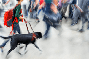 Public Health Collaboration With CDC To Address Disability Health Disparities In Georgia