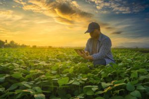 Tackling Poverty with Microfranchising