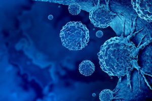 Cole (Ph.D. ’16) Receives Federal Grant to Better Understand, Treat Pancreatic Cancer-Related Muscle Wasting