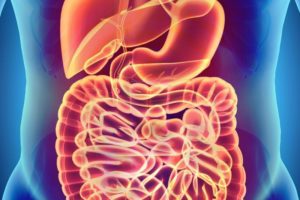 Ubiquitous Food Additive Alters Human Microbiota and Intestinal Environment