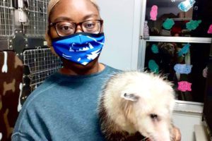 Georgia State Biology Student Gets Wildlife Conservation Experience Through Internship