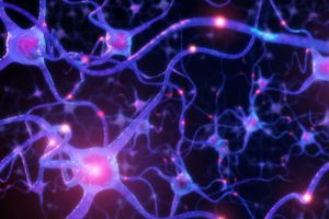 Neuroscience Researcher Awarded Nearly $2 Million by National Institutes of Health to Study Visual Processing
