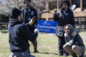 Fruit Tree and Bush Donation to Benefit College, Community