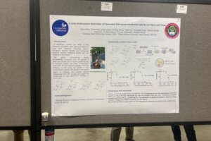 College Researcher, International Colleagues Progress in Work