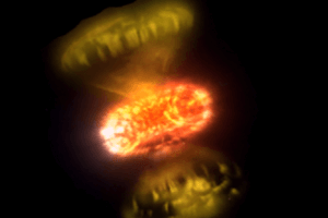 Close-Up Images Show How Stars Explode